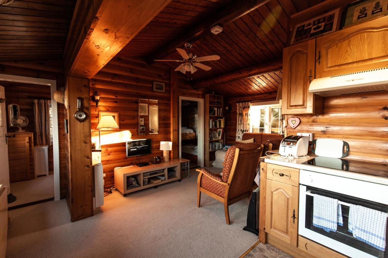 Rustic Log Cabin In Snowdonia By Seren Short Stays Trawsfynydd Dış mekan fotoğraf