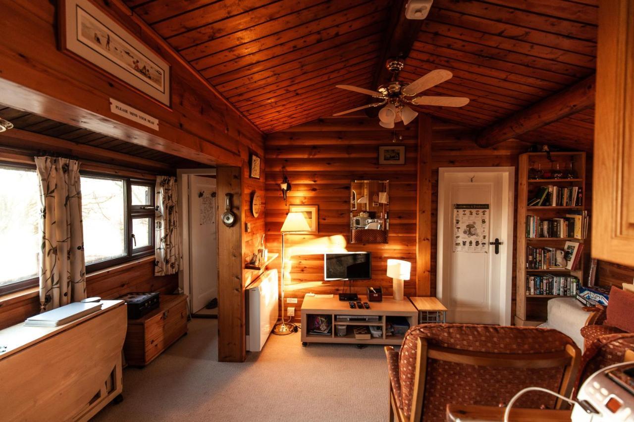 Rustic Log Cabin In Snowdonia By Seren Short Stays Trawsfynydd Dış mekan fotoğraf