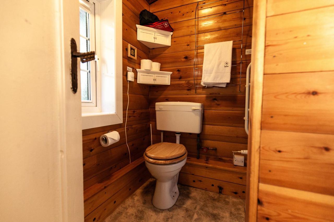 Rustic Log Cabin In Snowdonia By Seren Short Stays Trawsfynydd Dış mekan fotoğraf