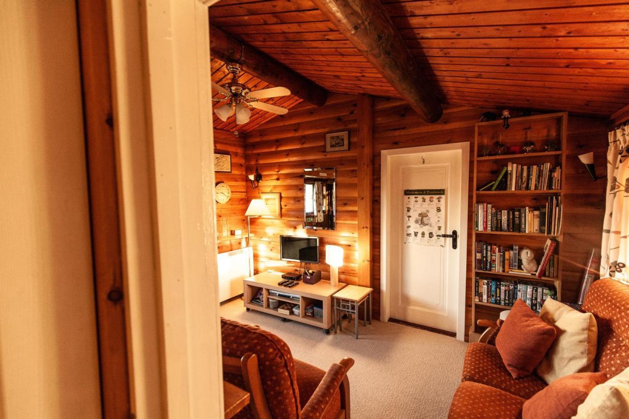 Rustic Log Cabin In Snowdonia By Seren Short Stays Trawsfynydd Dış mekan fotoğraf